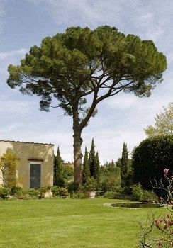 Villa Malavolta Scandicci Exterior photo